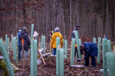 Bepflanzte Flaeche Kellerwald 04.12.21