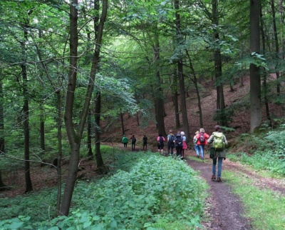 Waldbaden in Nordhessen