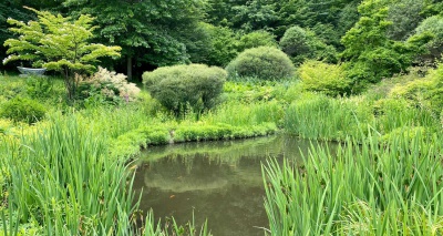 Teich im Kurpark im Sommer