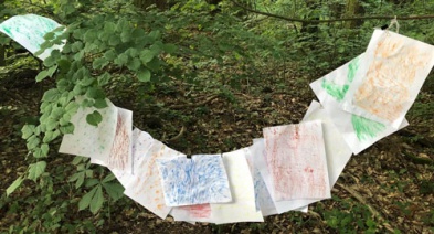 Wald Bilder Wald Bilder