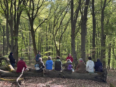 Cdf2ffec 5c1e 441c 9c59 5bc2296608e7