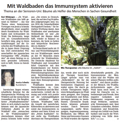 Presseartikel Waldbaden Immunsystem Aktivieren