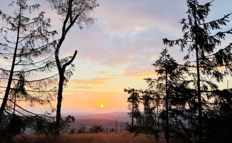 Sonnenuntergang Wuestegarten 2024